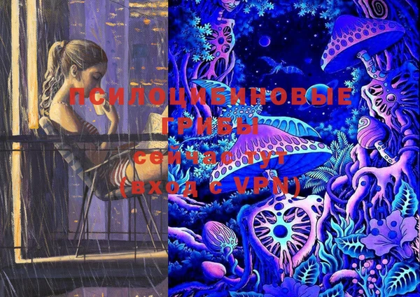 ешки Осинники