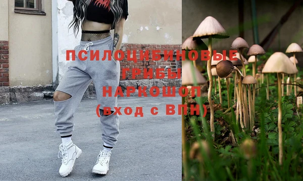 ешки Осинники