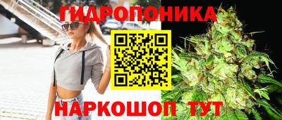 скорость Аргун