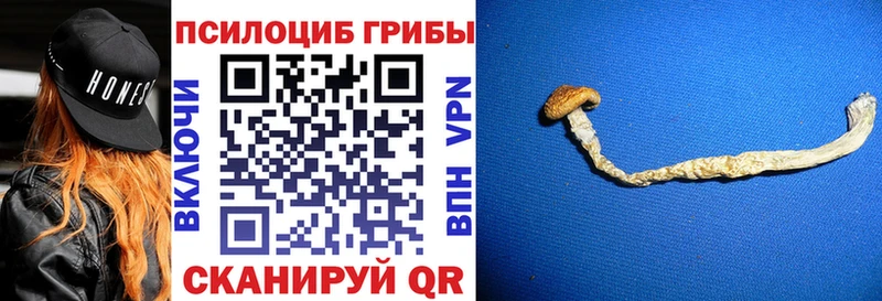 Галлюциногенные грибы прущие грибы Ахтубинск
