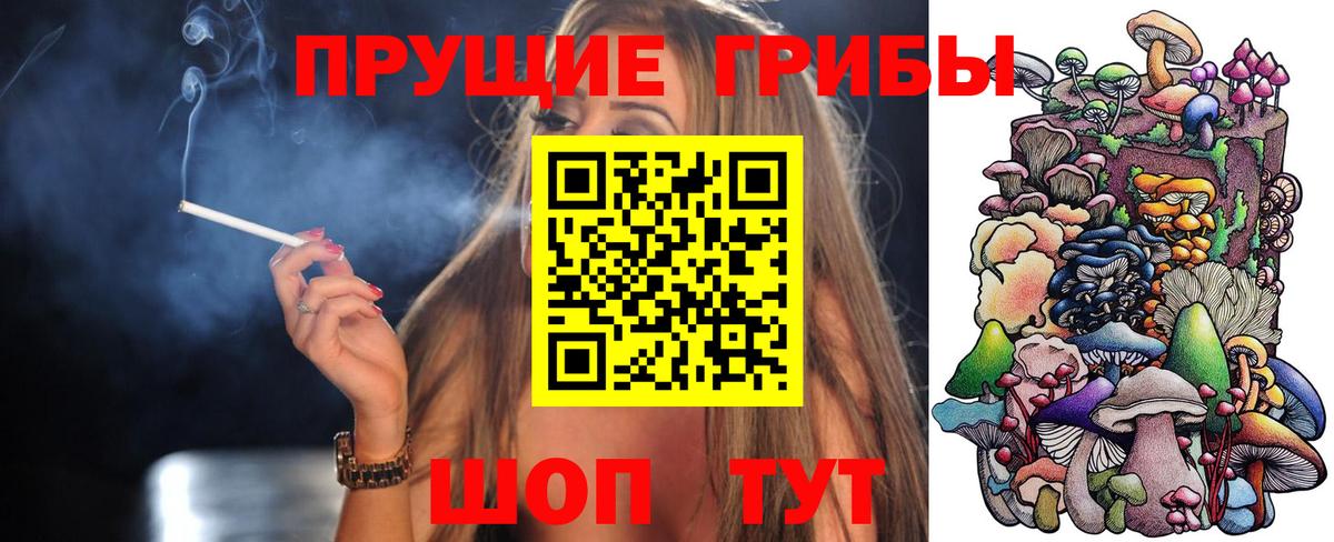 Псилоцибиновые грибы Psilocybine cubensis  купить закладку  Ахтубинск  Вход с VPN  Псилоцибиновые грибы Magic Shrooms 