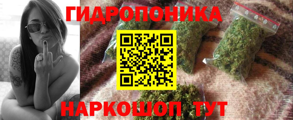 МАРИХУАНА гибрид  Марихуана индика  Ахтубинск 